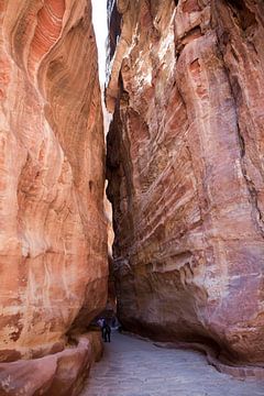 Narrow passage in rocks at Petra by Kees van Dun