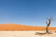 Verlaten landschap in Dodevlei in Namibië van Simone Janssen thumbnail