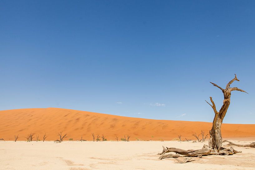Verlaten landschap in Dodevlei in Namibië van Simone Janssen