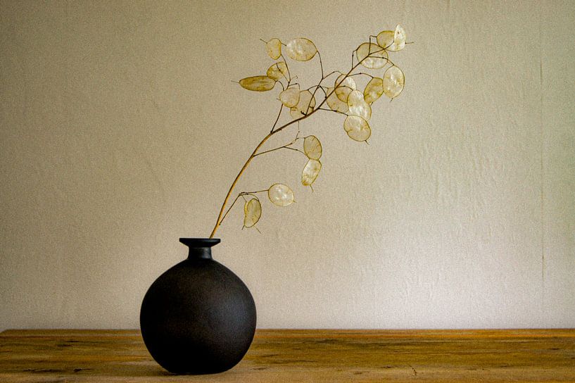 Le sou de Judas par Niek Traas