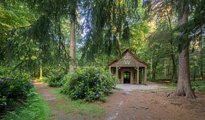 Magical cottage in the woods