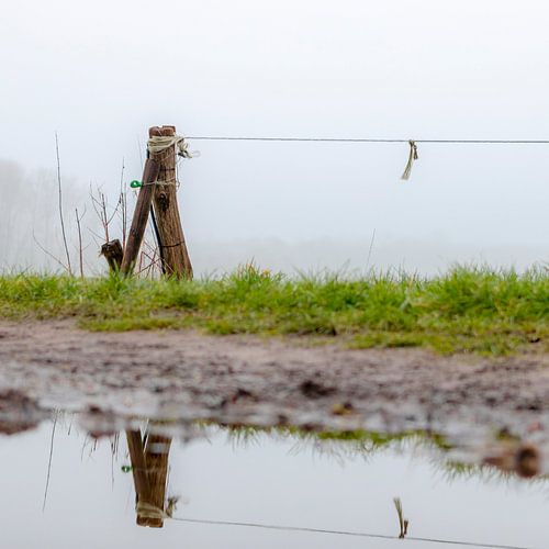 Weipaal in de mist