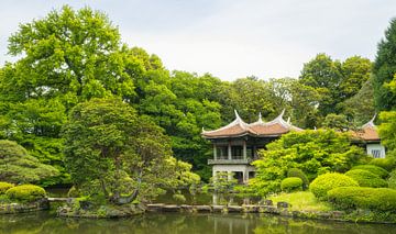 Jardin national de Shinjuku Gyoen (Japon) sur Marcel Kerdijk