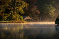 Sunrise Field Pond by Patrick Rodink thumbnail