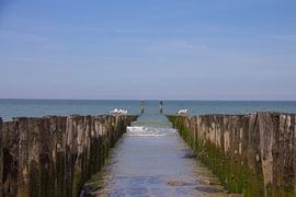 Symmetrie zwischen den Wellenbrechern und Blick auf die Nordsee von Marco Leeggangers