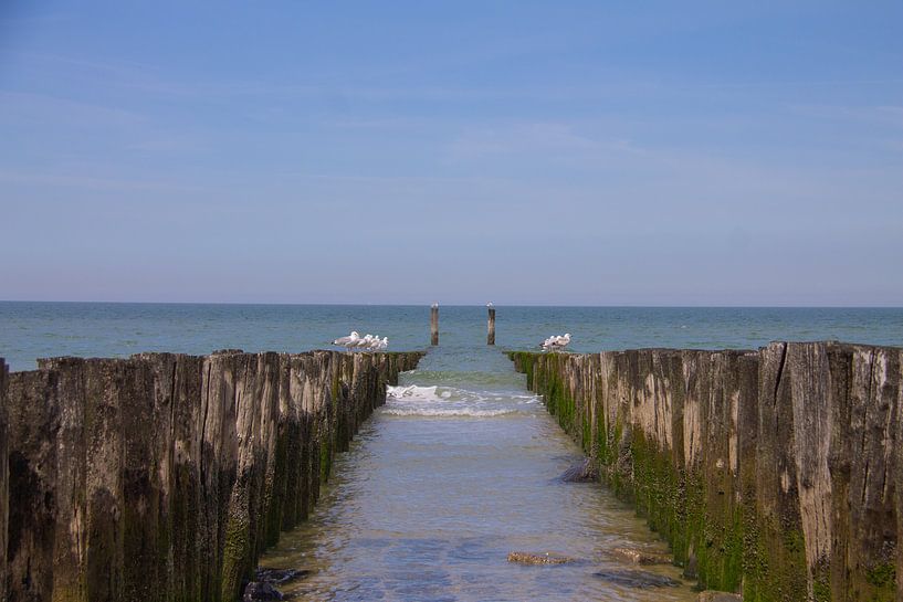 symmetry between the breakwaters and looking at the North Sea by Marco Leeggangers