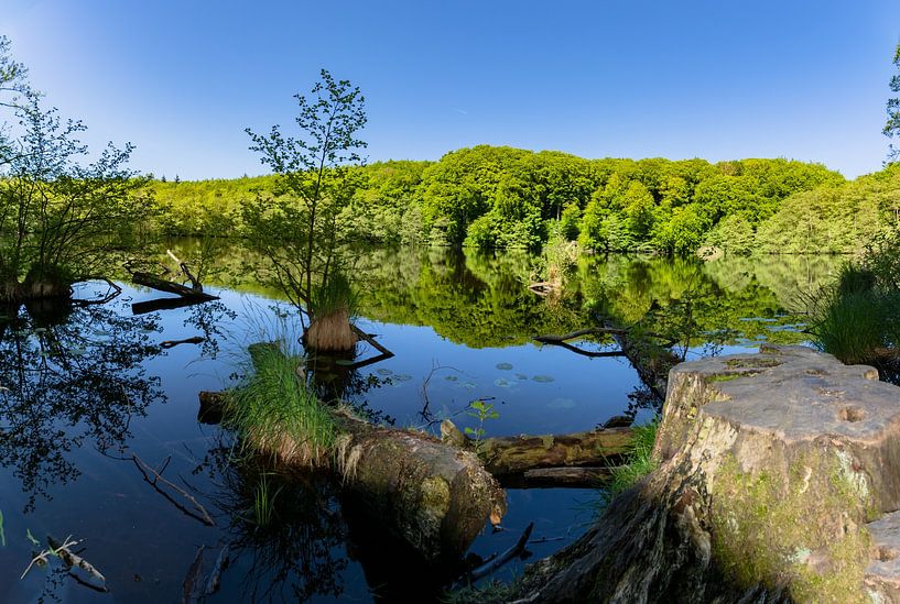 Panorama Herthasee, Jasmunder Nationalpark, Insel Rügen von GH Foto & Artdesign