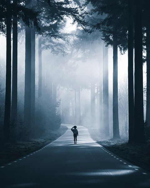 Entre lumière et obscurité par Dylan Shu Photography
