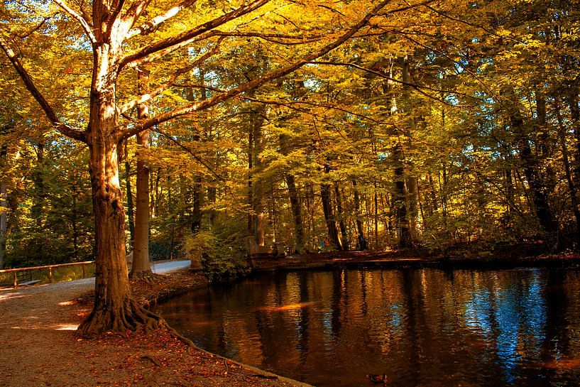 Autumn atmosphere in the Nymphenburg Palace Garden by Photoart-Naegele