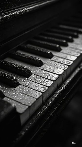 Musical instrument in black and white by Gelissen Artworks