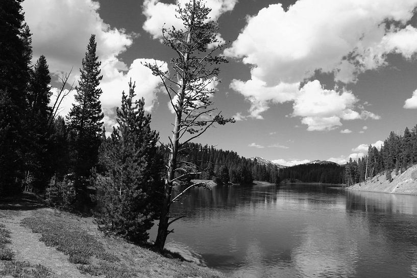 Yellowstone River Impression by Christiane Schulze