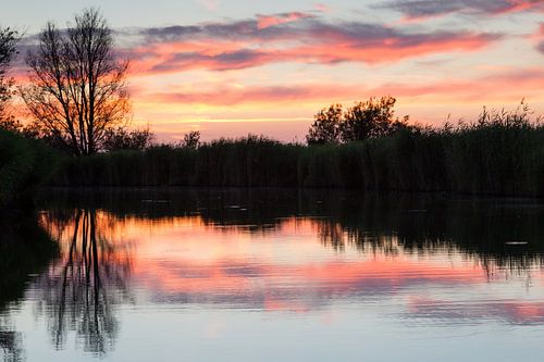 Nature - Pink sky during sunset - Oostvaarderplassen
