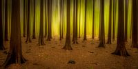 Leuchtender Wald von Piet Haaksma Miniaturansicht