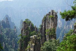 majestätische Berge von Jildau Schotanus