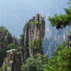 majestätische Berge von Jildau Schotanus