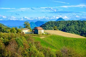 Toscane