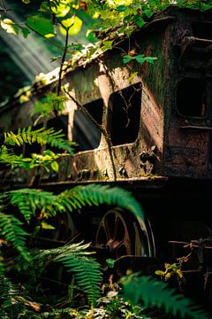 Abandoned railway carriage in the forest - nature textures by Poster Art Shop