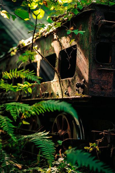 Abandoned railway carriage in the forest - nature textures by Poster Art Shop