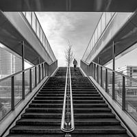 Vers le haut de la page