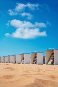 Maisons de plage sur la côte néerlandaise