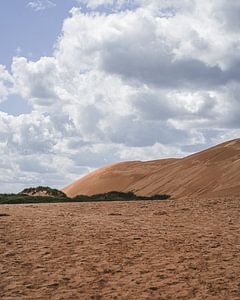 Rubjerg Knude II