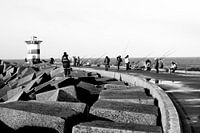 Vissers van Scheveningen
