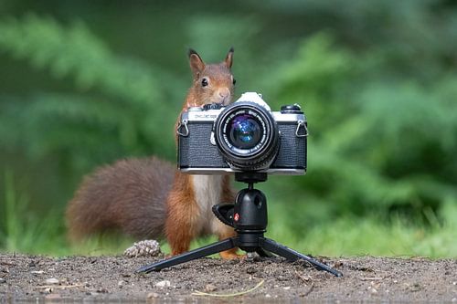 Ook eens een foto maken.