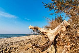 Strand an der Küste der Ostsee bei Graal Müritz