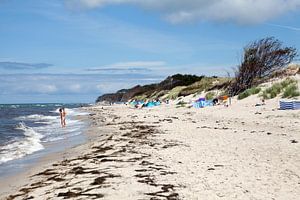 Darß - Weststrand