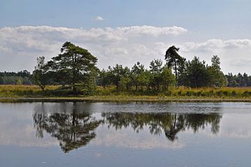 Heidelandschap Valkenheide Leersum met mooie weerspiegeling van bomen en wolken in de Leersumse Plas van Robin Verhoef