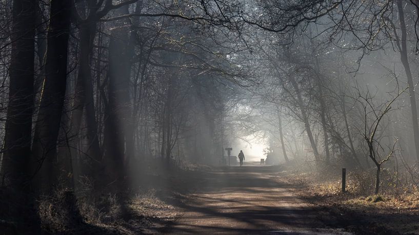 La forêt par Julienne van Kempen