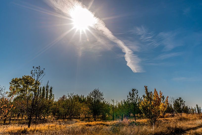 Sun explosion by Roland's Foto's