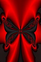 Black Butterfly