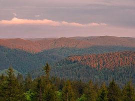 Vue sur la Haute Forêt-Noire au coucher du soleil