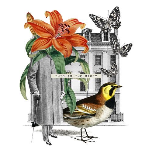 This is the True Story by Marja van den Hurk