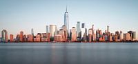 Manhattan panorama von Arnold van Wijk Miniaturansicht