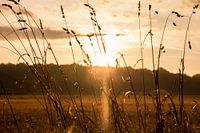 'Zonsopkomst'
