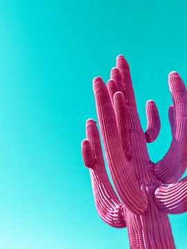 Magenta Pink Saguaro by Tom Windeknecht
