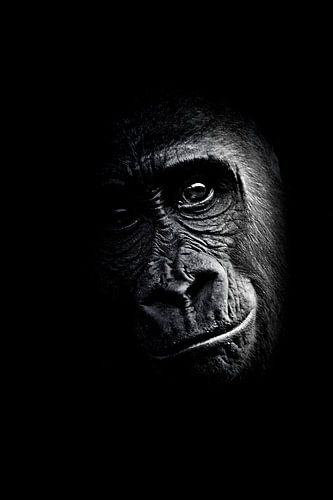 Gorilla - Portret van Reiner Borner