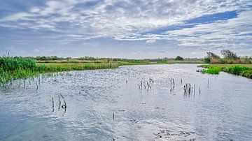 Wassereinzugsgebiet des Dünenreservats Noordhollands