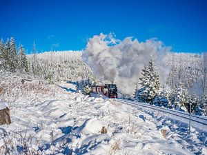 Auf zum Brocken! Die Brockenbahn bei Schierke.