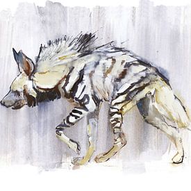 Hyène rayée sur Mark Adlington