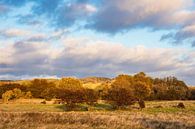 Landschaft auf der Insel Moen in Dänemark. van Rico Ködder thumbnail