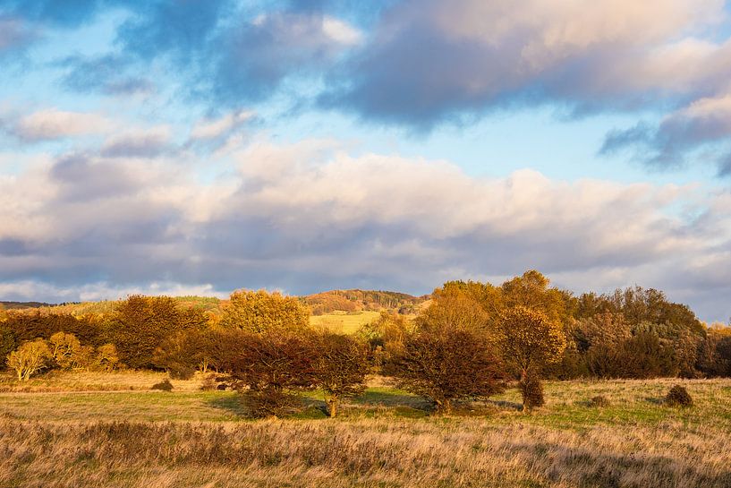 Landschaft auf der Insel Moen in Dänemark. von Rico Ködder