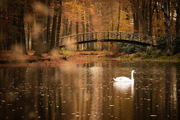 Swan by Mariette Kranenburg