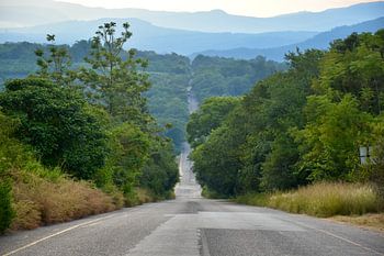 Lange Straße bei Hazyview in Südafrika