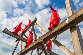 pinguïns in Breskens van Meindert Marinus