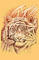 King Of The Jungle in light orange