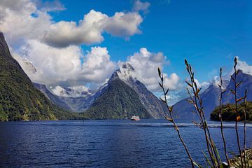 Zwischen Wolke und Fjord von Laura Krol