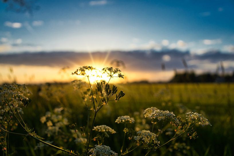 Zonsondergang von Bart Nikkels